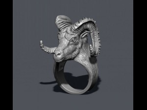 Aries ring Modello di stampa 3D