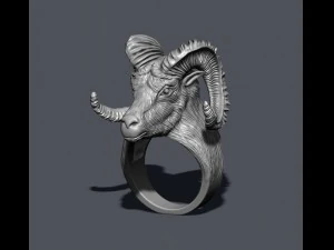 Aries ring 3D Print Model