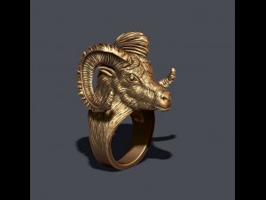 Aries ring Modello di stampa 3D