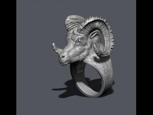 Aries ring 3D Print Model