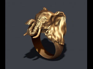 Elephant ring Modelo de Impressão 3D