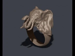 Elephant ring 3D Print Model