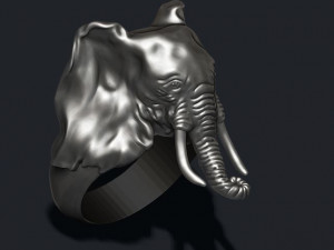 Elephant ring 3D प्रिंट मॉडल