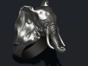 Elephant ring 3D Print Model