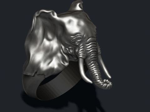 Elephant ring 3D प्रिंट मॉडल