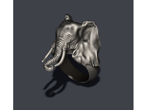 Elephant ring 3D प्रिंट मॉडल