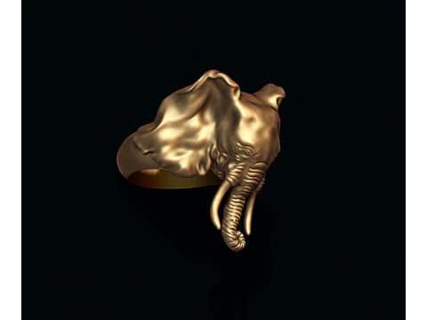 Elephant ring 3D Print Model