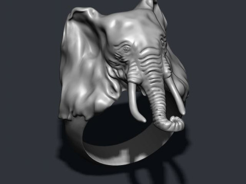 Elephant ring 3D प्रिंट मॉडल