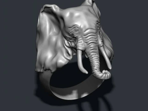 Elephant ring 3D Print Model