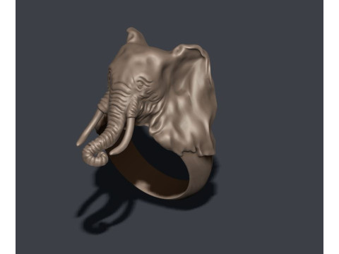 Elephant ring 3D प्रिंट मॉडल