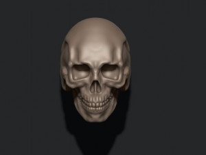 Skull ring 3Dプリントモデル