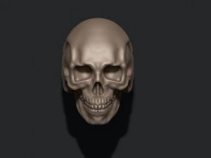 Totenkopfring 3D Druckmodell