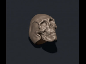 Skull ring 3Dプリントモデル
