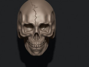 Skull ring with cracks Modèles 3D en vedette