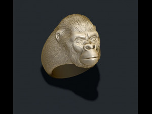 Gorilla ring Modelo de Impressão 3D