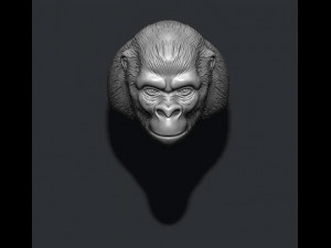 Gorilla ring Modelo de Impressão 3D