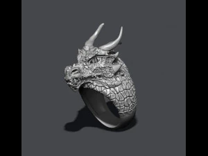 Drakenring 3D printmodel