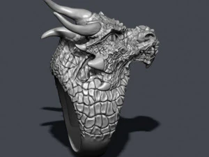 Drakenring 3D printmodel