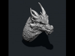 Dragon ring Modello di stampa 3D