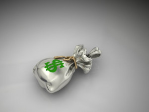 Money bag pendant 3D 打印模型