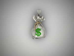 Money bag pendant 3D 打印模型