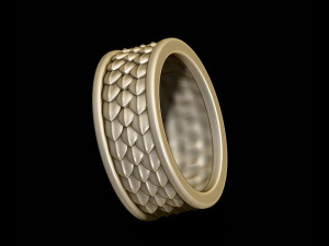 Skin ring 3D प्रिंट मॉडल