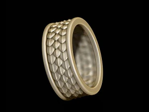 Hautring 3D Druckmodell