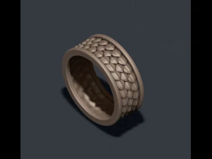 Skin ring 3D Print Model