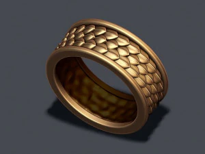 Skin ring 3D Print Model