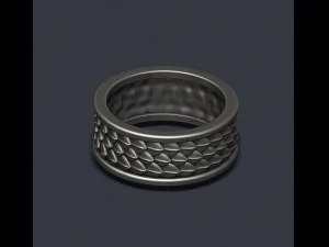 Skin ring 3D Print Model