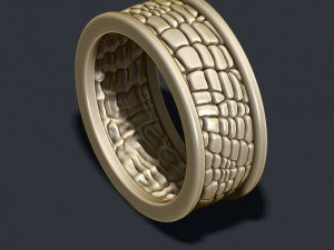 Skin ring 3D 打印模型