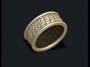 Skin ring 3D 打印模型