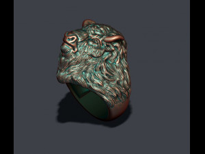 Buffalo ring Modèles 3D en vedette