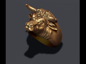 Bull ring 3Dプリントモデル