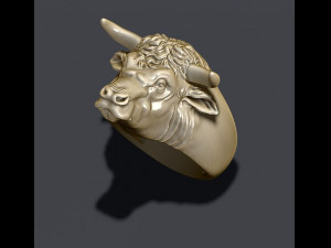Bull ring 3Dプリントモデル