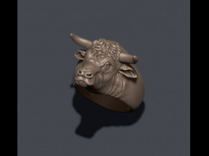 Bull ring 3Dプリントモデル