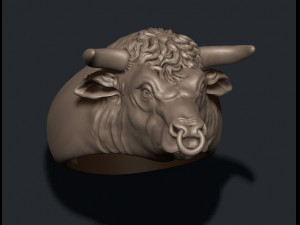 Bull ring 3D Print Model