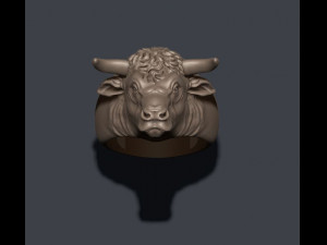 Bull ring 3Dプリントモデル
