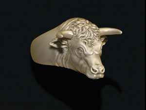 Bull ring 3Dプリントモデル