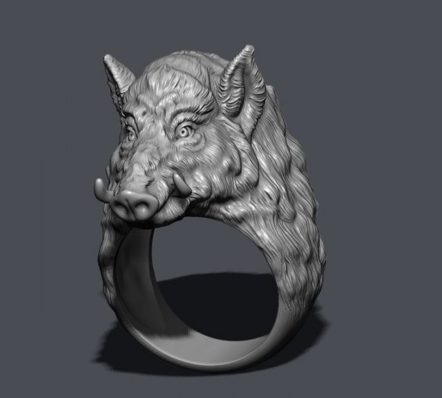 Boar ring hotsell