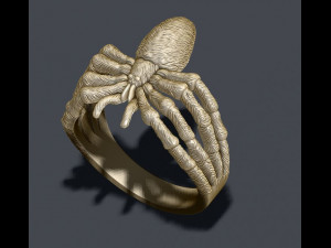 Spider ring 3D प्रिंट मॉडल