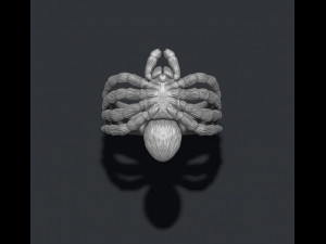 Spider ring 3D Print Model
