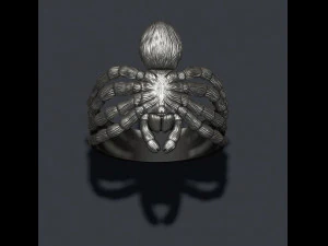 Spinnenring 3D Druckmodell