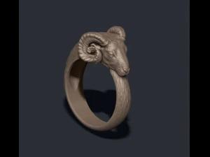Ram ring 3D Print Model