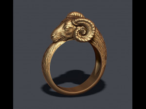 Ram ring 3D 프린트 모델