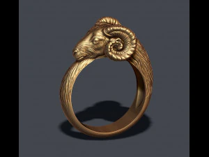 Pierścień Ram Model do druku 3D