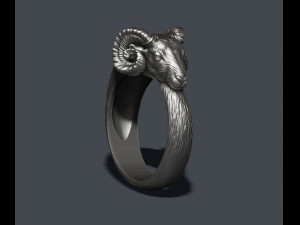 Ram ring 3D Baskı Modeli
