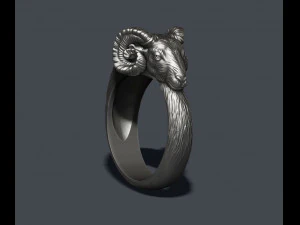 Ram ring 3D Print Model