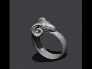 Ram ring 3D Baskı Modeli