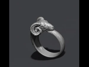 Ram ring 3D Print Model